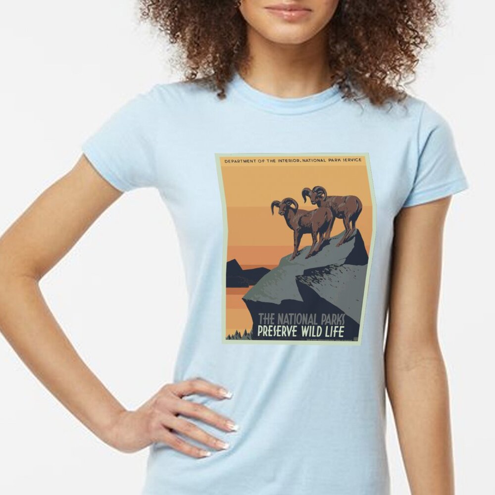 NWT Vintage Print National Park Crew Neck Blue T-shirt